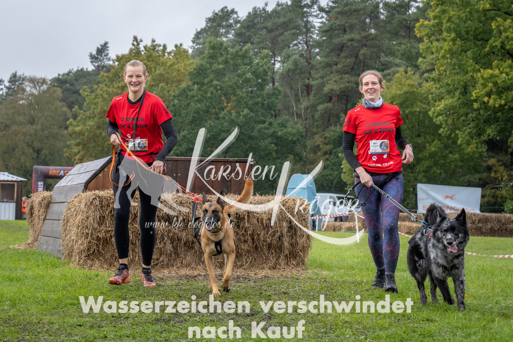 1340-94084 | kk-dogfotos