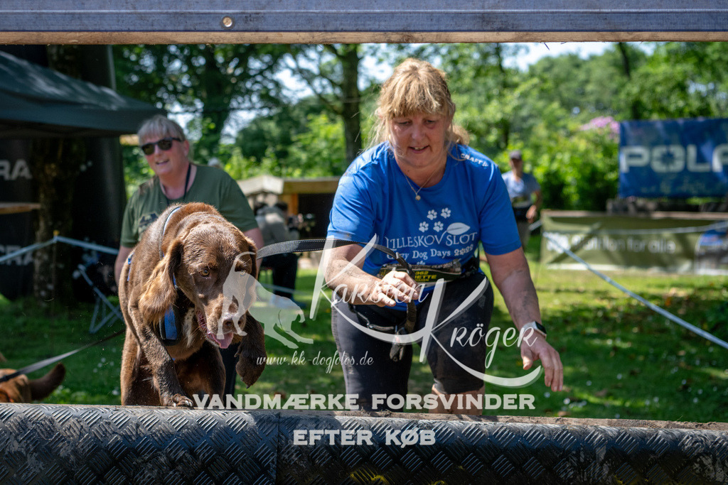 1223_ZZ90927 | kk-dogfotos