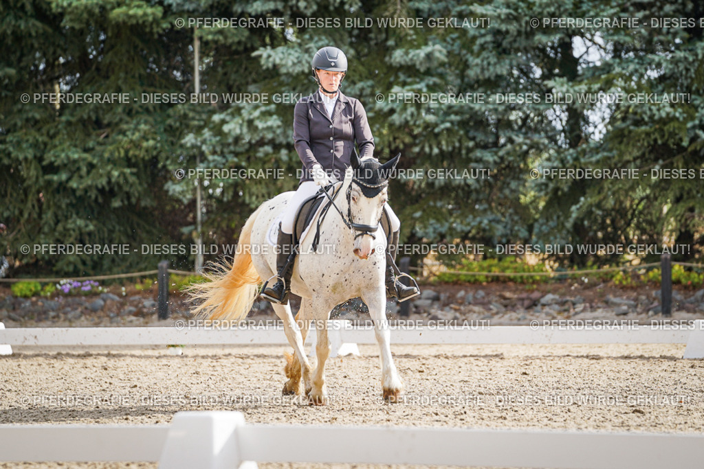 DSC01015 | Pferdegrafie