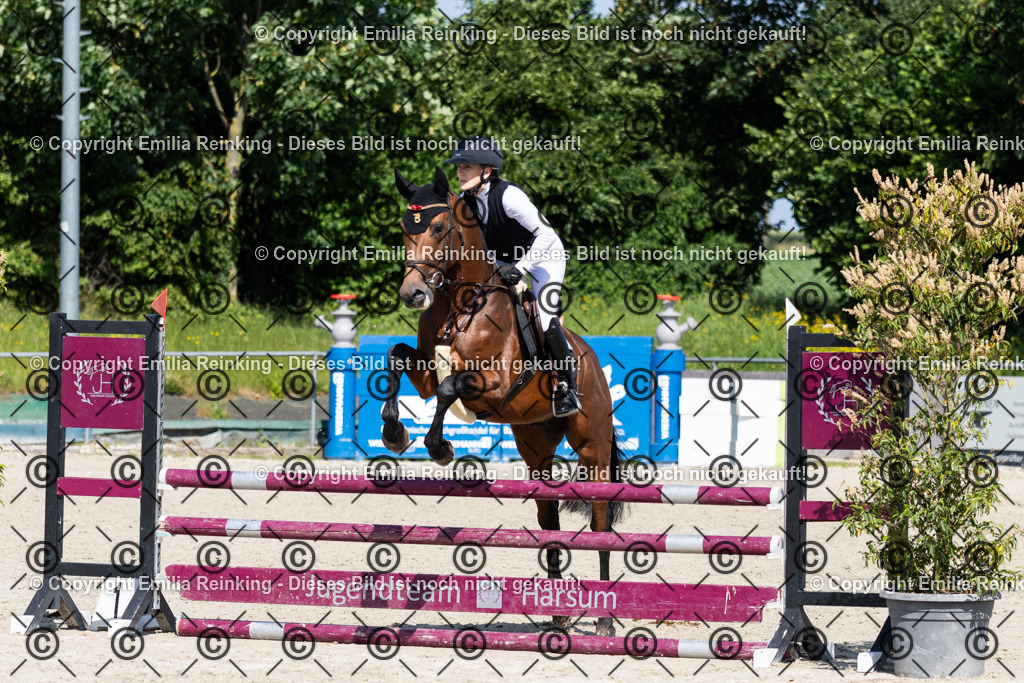 CL5A0279 | Emilia Reinking Fotografie - Realisiert mit Pictrs.com