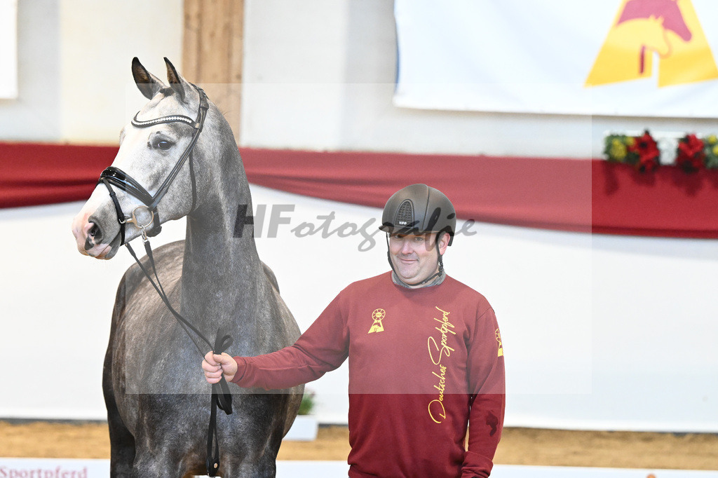 Kat-Nr. 4 Benicio x Livaldon_Schulze-Averdiek_43231549 | hf-fotografie - Realisiert mit Pictrs.com