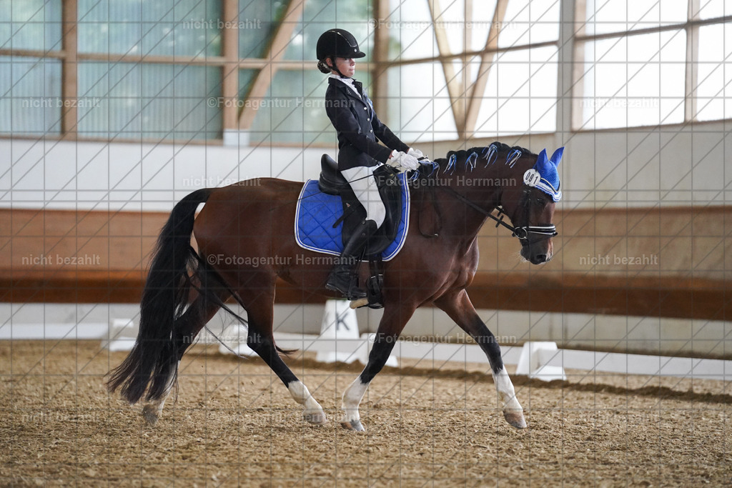 20240825-FAH09567 | Turnierbilder, Reitsportfotos, LAPO, Landesponyturnier, Turnierfotografen Bayern
