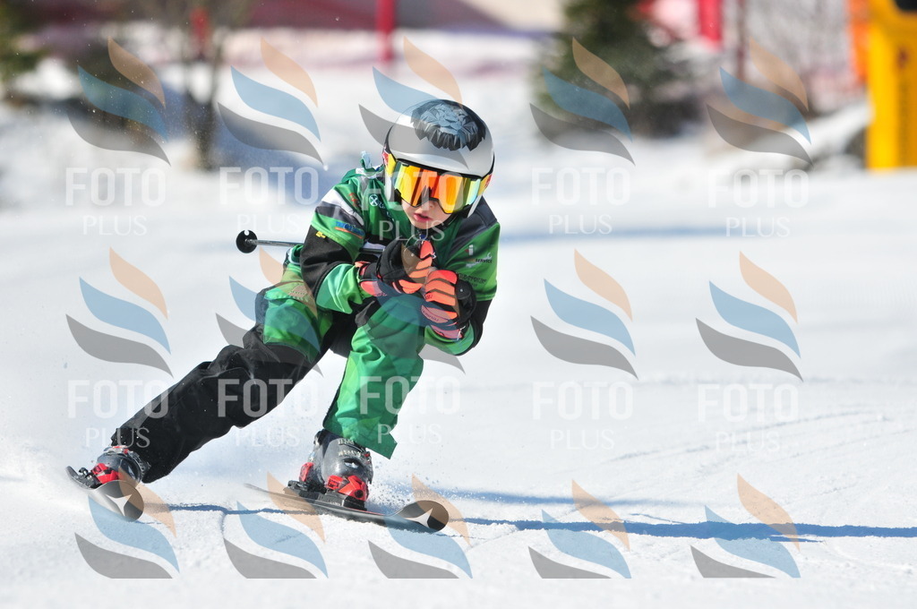 C2201 | holidayphoto