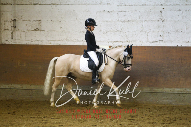 DKP43407 | Turniersportfotografie; Pferdefotografie; Dressurfotografie