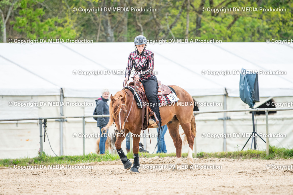 Heiligenwald Tag 2-2446 | dv-media-shop - Realisiert mit Pictrs.com