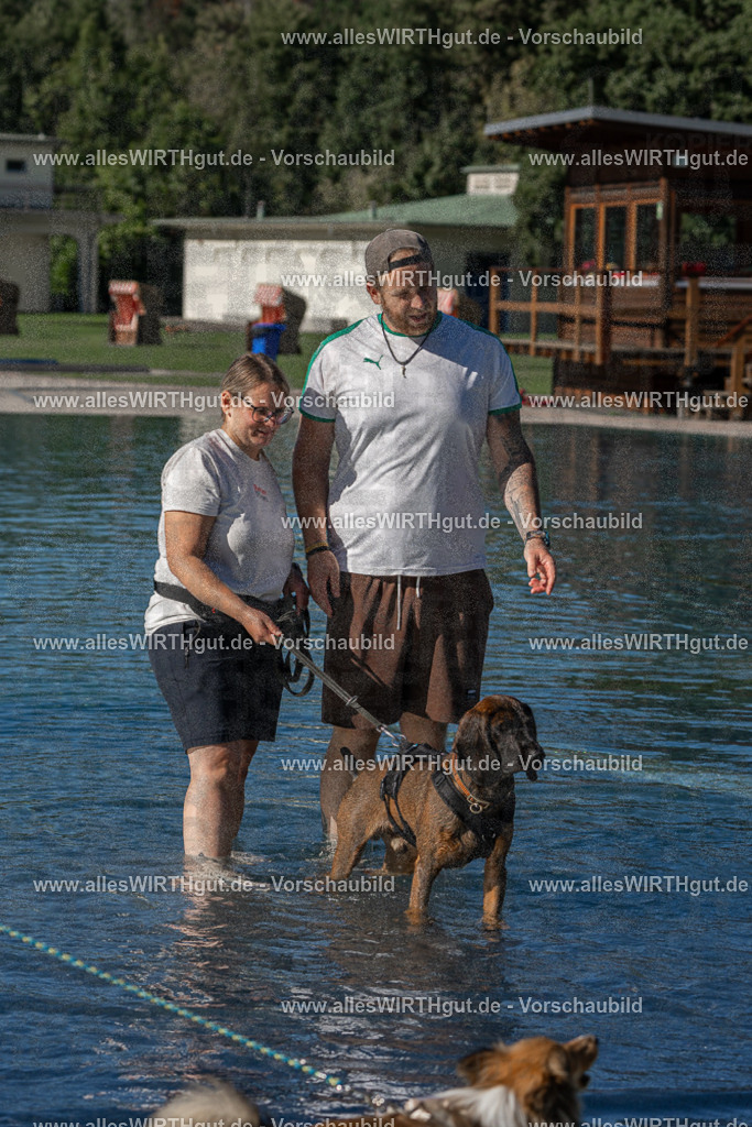 Hundeschwimmen_Volksbad_2026-allesWIRTHgut_Tierfotografie-2609061027-FAY05895 | Professionelle Tierfotografie in Mönchengladbach von Daniel Wirth (allesWIRTHgut). Liebevolle & natürliche Bilder von Hunden & Katzen für unvergessliche Erinnerungen.