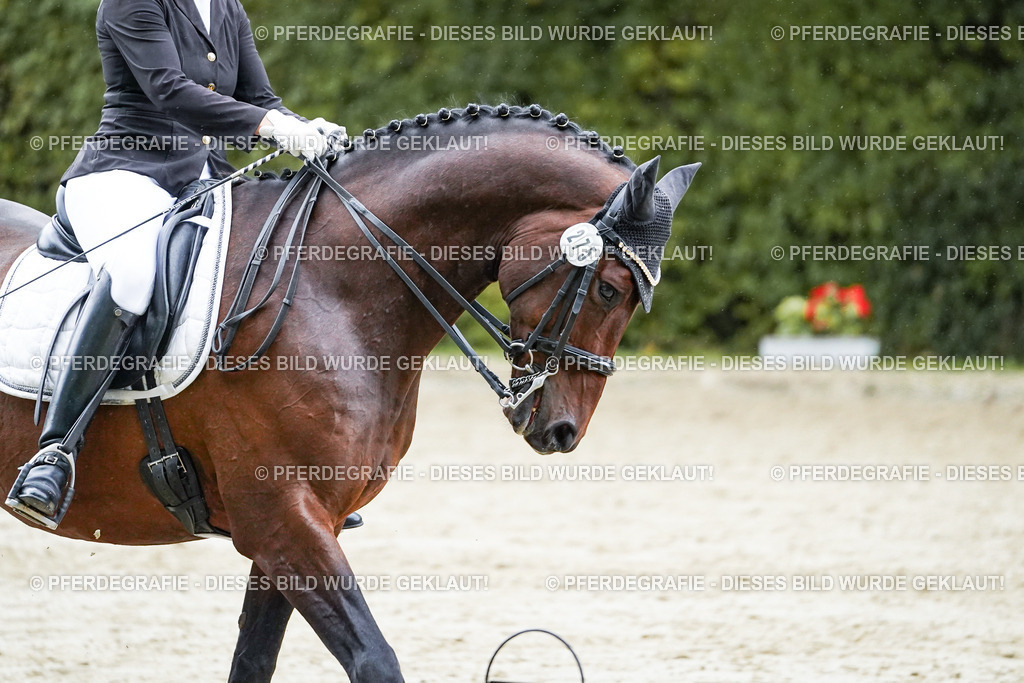 DSC00579 | Pferdegrafie