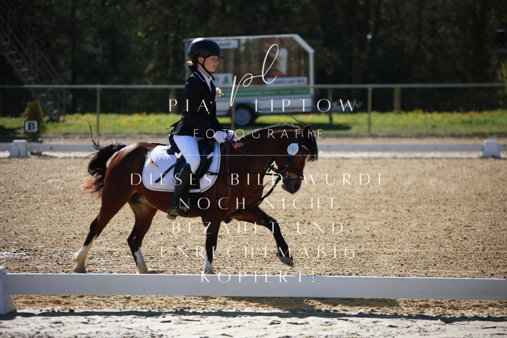 IMGT9660 | pl-fotografie