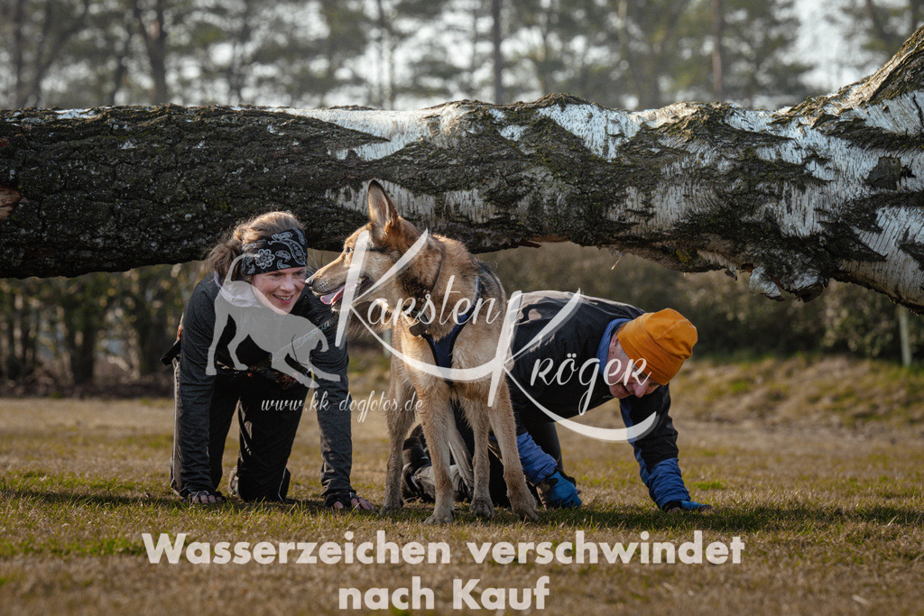 0933_ZZ99465 | kk-dogfotos