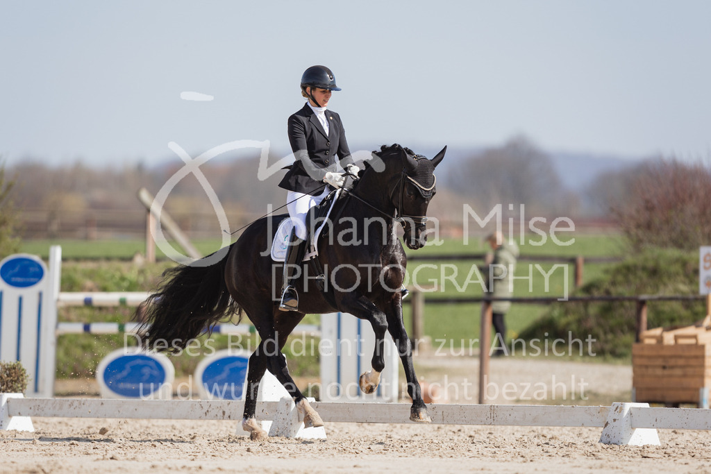 230410_Frühlingsfest_Dressurpf-M-103 | Deine schönsten Turniermomente als professionelle Fotos! Entdecke hochwertige Pferdesport-Fotografie im Online-Shop. Jetzt Fotos finden & bestellen!