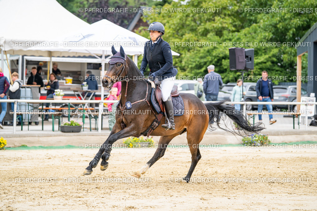 DSC02413 | Pferdegrafie