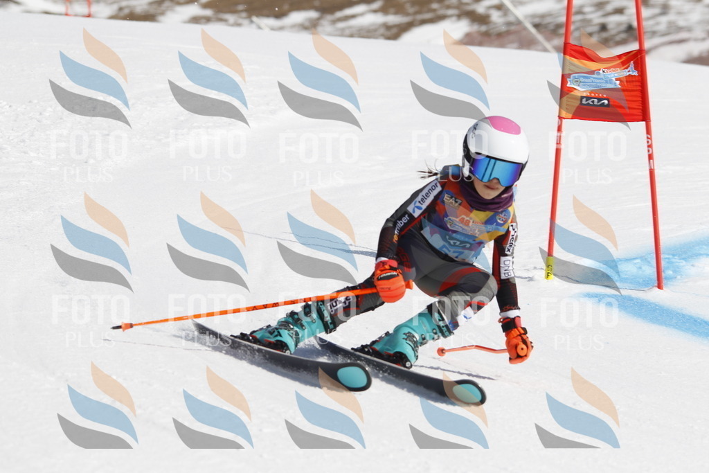 _U3G9548 | holidayphoto