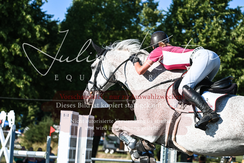 DSC_3011 | Pferde- und Turnierfotografie in Westsachsen. Pferdeportraits, Auftragszeichnungen und intuitive Kunst.
