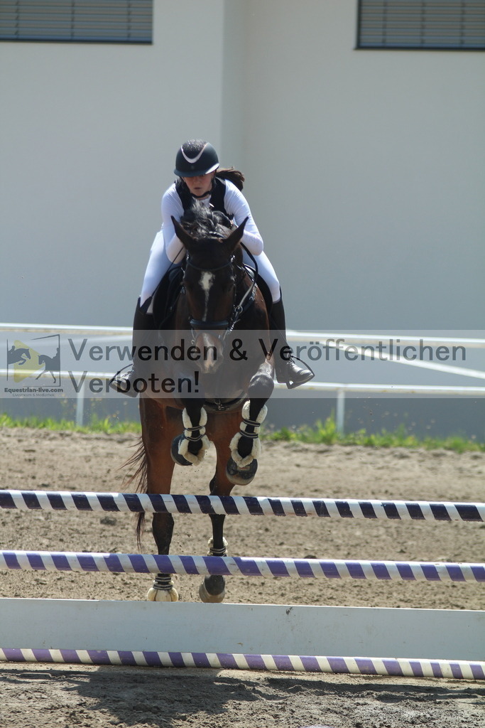 IMG_3532 | equestrian-live-com