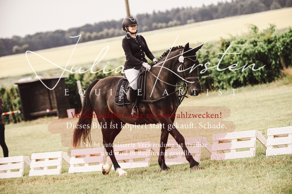 DSC_4881 | Pferde- und Turnierfotografie in Westsachsen. Pferdeportraits, Auftragszeichnungen und intuitive Kunst.
