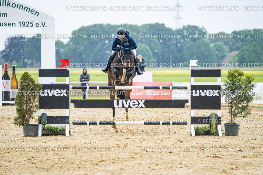 DSC09525 | Pferdegrafie