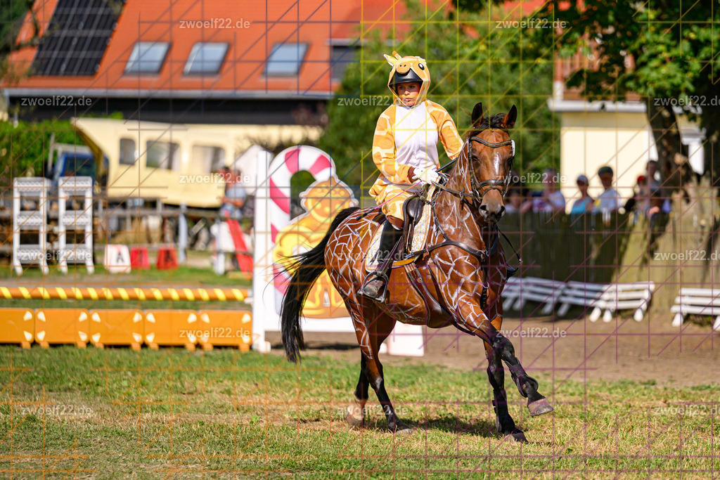 30 Jahre RFV Pulsnitz e.V., Pulsnitz am 09.08.2026 | Zur 28. breitensportlichen Veranstaltung des RFV Pulsnitz e.V. fanden verschiedene Wettbewerbe in nahezu allen Disziplinen des Pferdesport statt. - 05 Kostüm-Stilspring-Wettbewerb - Realisiert mit Pictrs.com