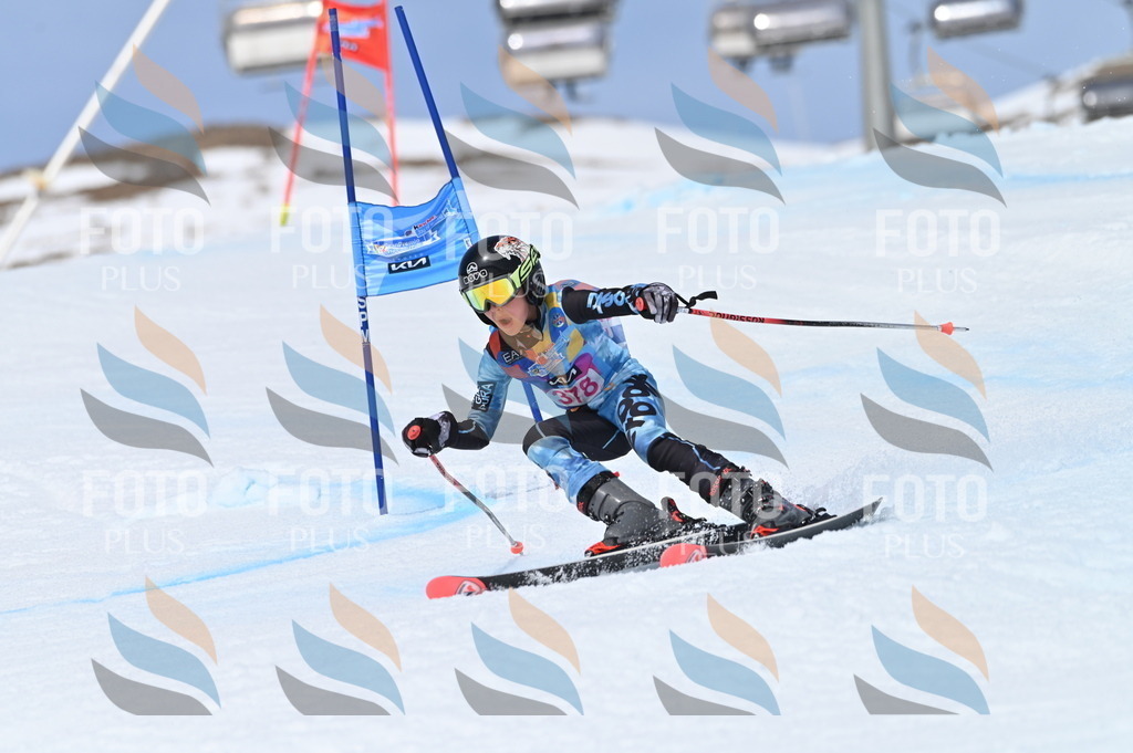 BGV_4147 | holidayphoto