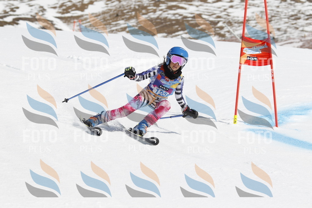 _U3G0758 | holidayphoto