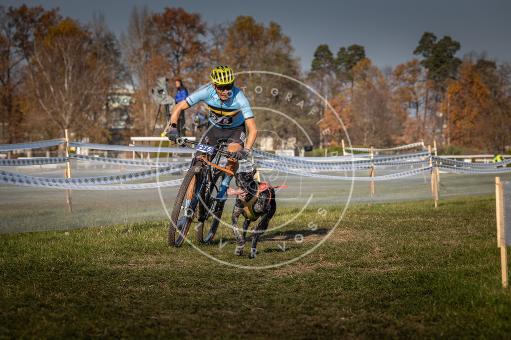 CaniXpix_0L8A6029 | Hundefotografie, Tierfotograf, Pfotenfotografie, Fotoshooting Hund, Hunde Portrait, Hundesport, Hundeportraits, Heideshooting, Hunde, Sportfotograf, Hundefotograf, Turnierhundsport, THS,  - Realisiert mit Pictrs.com
