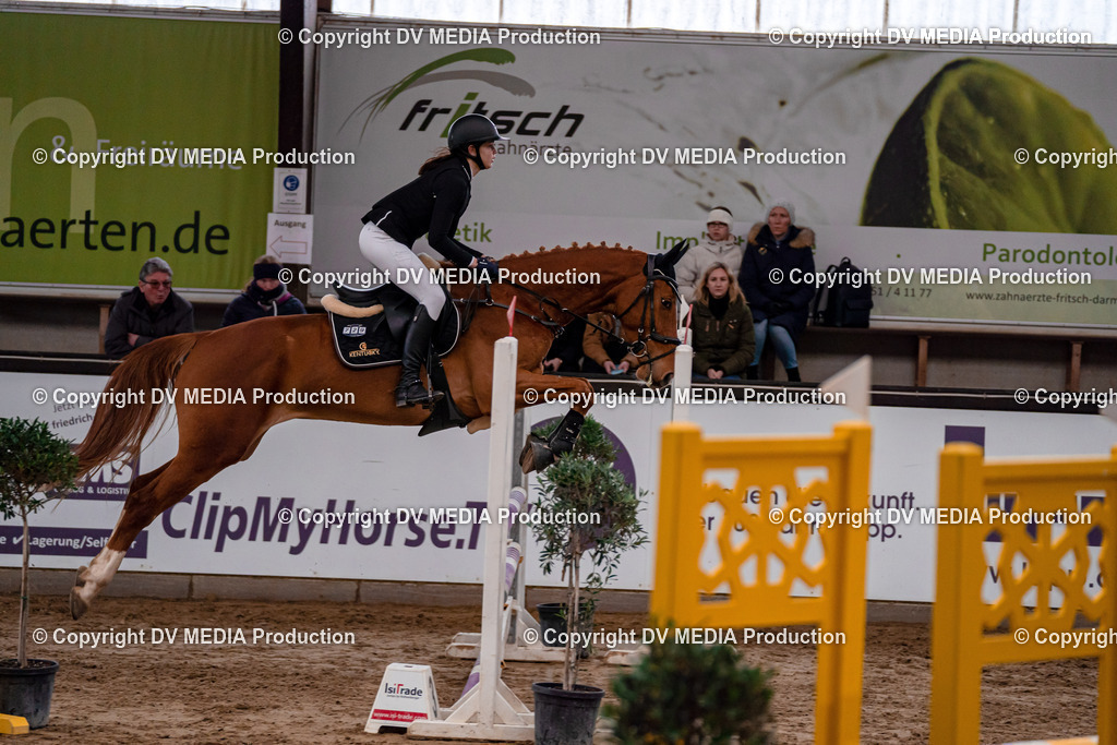 Kranichstein Tag 3-247 | dv-media-shop - Realisiert mit Pictrs.com