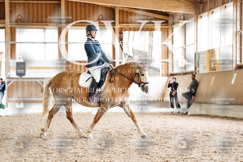 CK900626 | Turnierfotografie Pferdefotografie Trier Rheinland-Pfalz Pferdesport Reitsport Tierfotografie Sportfotografie Pferdevideo Pferdevideografie Equestrianvideography equestrianphotography  - Realized with Pictrs.com