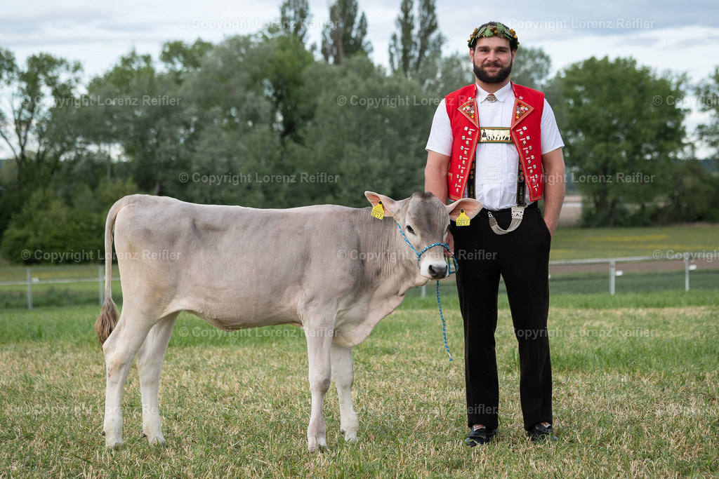Schwingen -  Thurgauer Kantonales 2024 | Ermatingen, 5.5.24, Schwingen - Thurgauer Kantonales.