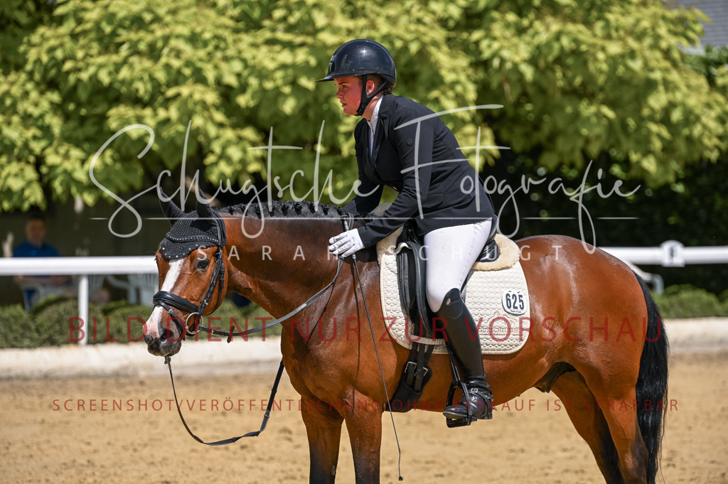 Schugtsche-Aluta25-53.Amat.Dressurprf.A2-470 | Schugtsche Fotografie - Realisiert mit Pictrs.com