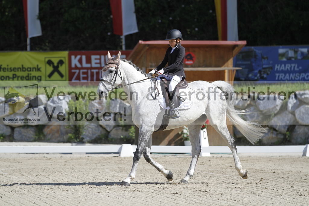 _MG_6576 | equestrian-live-com