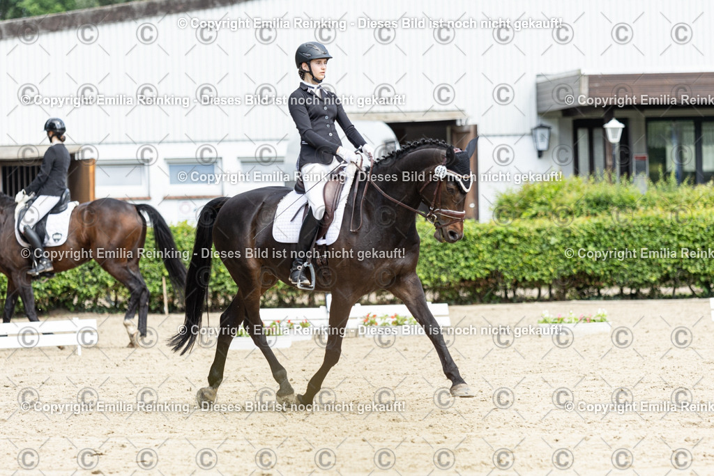 CL5A4585-2 | Emilia Reinking Fotografie - Realisiert mit Pictrs.com