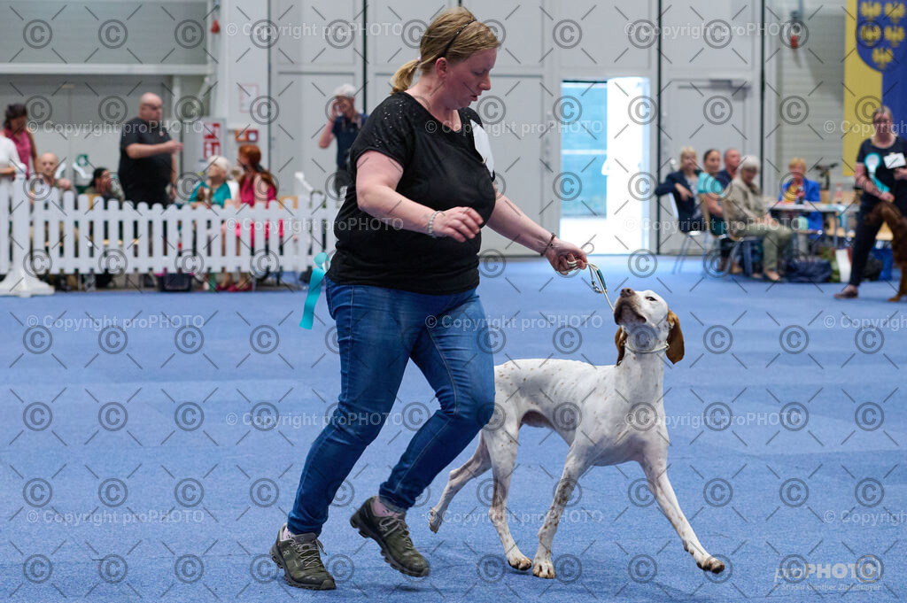 202406_ÖKV-IHA-Tulln24_DSC_3128 | proPHOTO - Realisiert mit Pictrs.com