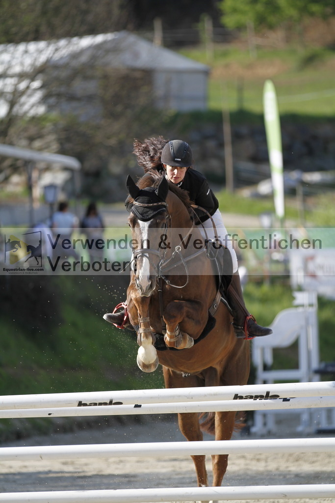 _MG_8290 | equestrian-live-com