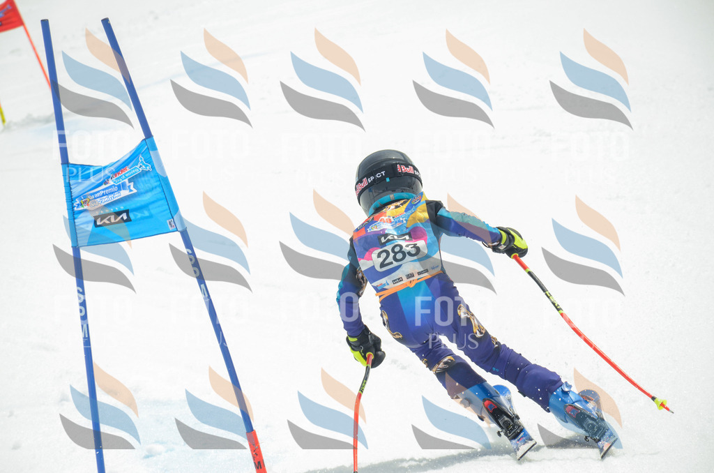 _ELE7986 | holidayphoto