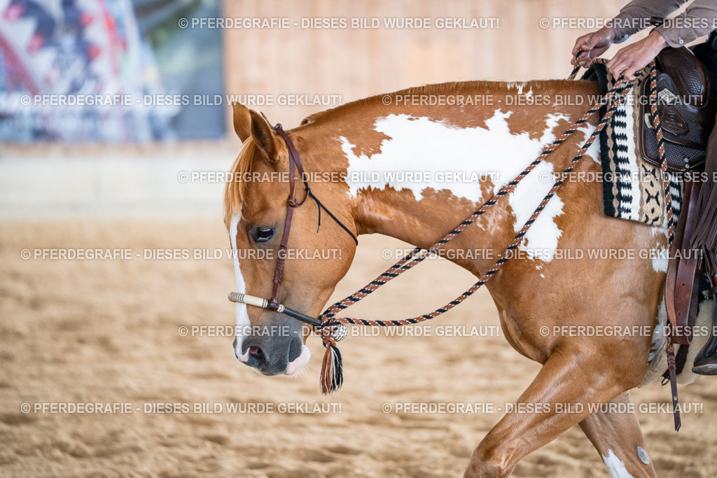 DSC09010 | Pferdegrafie