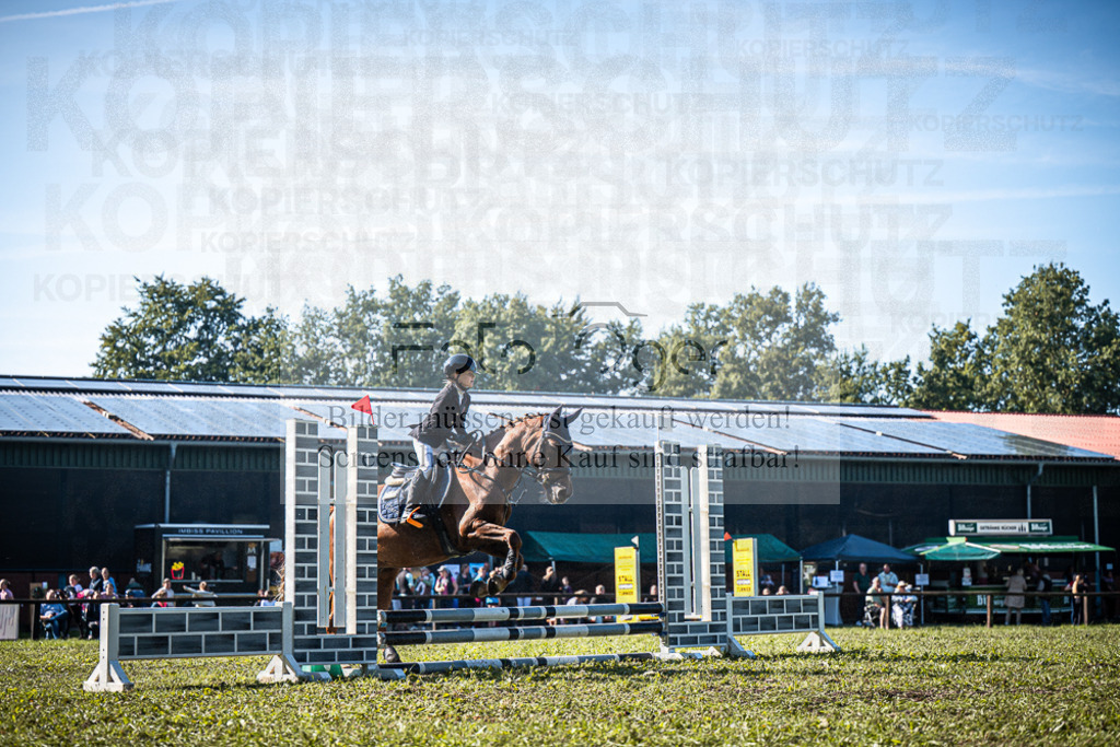 Z63_0184 | Entdecke hochwertige Reitturnierfotos von Foto Oger. Professionell, emotional und authentisch – jetzt Lieblingsmomente im Shop bestellen.Deutschlandweite Turnierfotografie. - Realisiert mit Pictrs.com