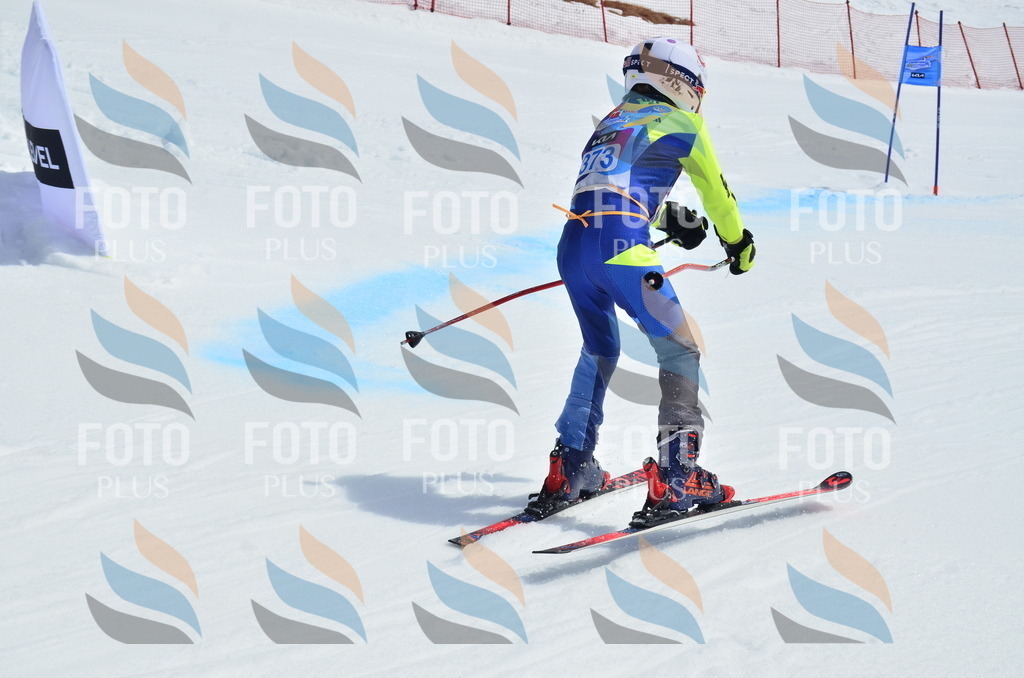 _ELE2007 | holidayphoto