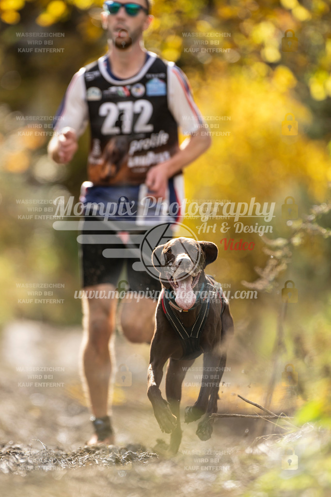 MompixPhotography_ICF_WC_2024_SA_Run_-71 | PayLife