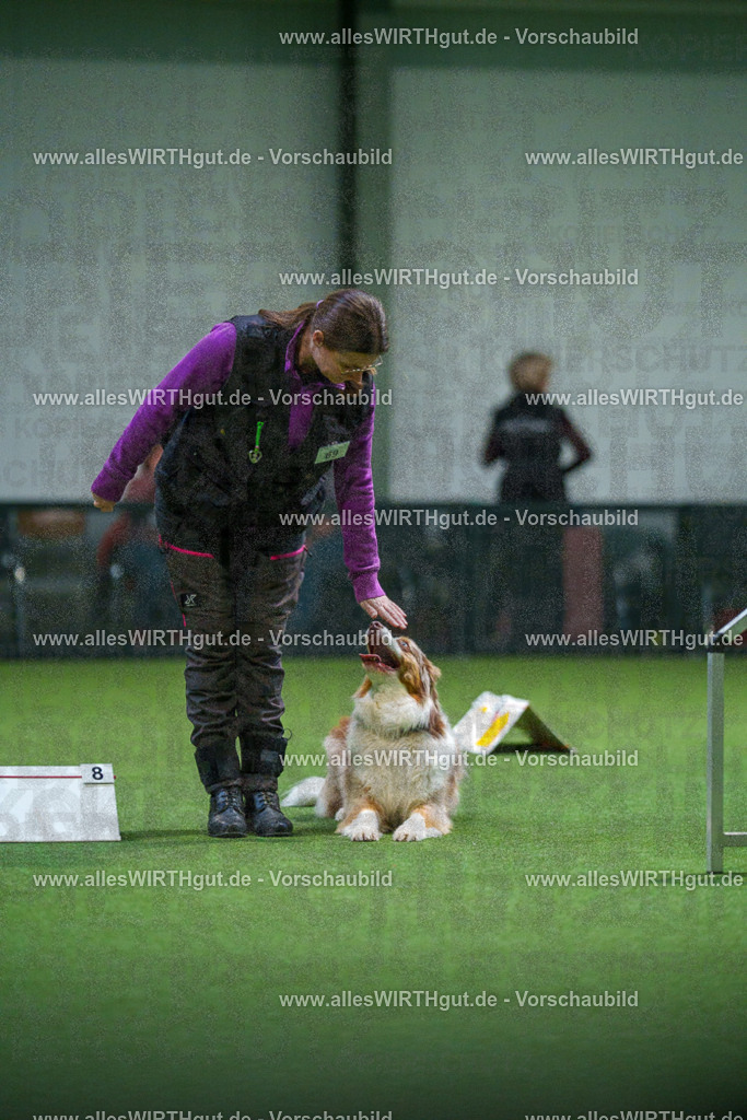7R503898 | Professionelle Tierfotografie in Mönchengladbach von Daniel Wirth (allesWIRTHgut). Liebevolle & natürliche Bilder von Hunden & Katzen für unvergessliche Erinnerungen.