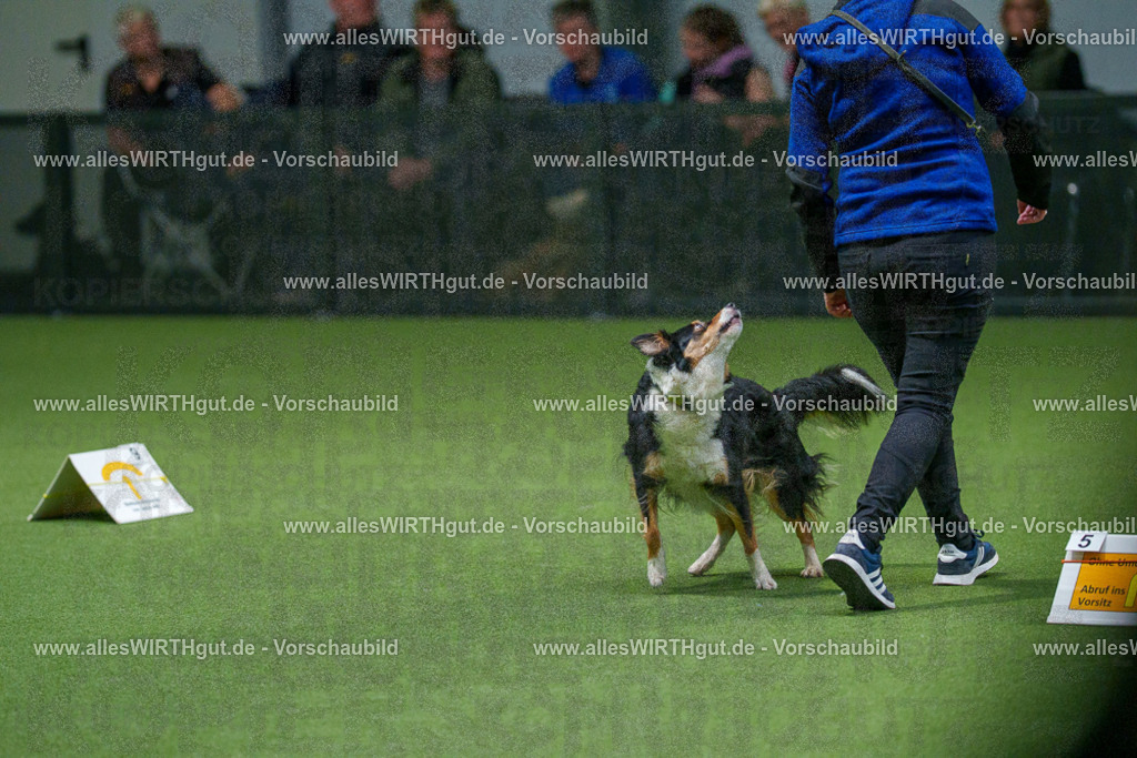 7R508150 | Professionelle Tierfotografie in Mönchengladbach von Daniel Wirth (allesWIRTHgut). Liebevolle & natürliche Bilder von Hunden & Katzen für unvergessliche Erinnerungen.