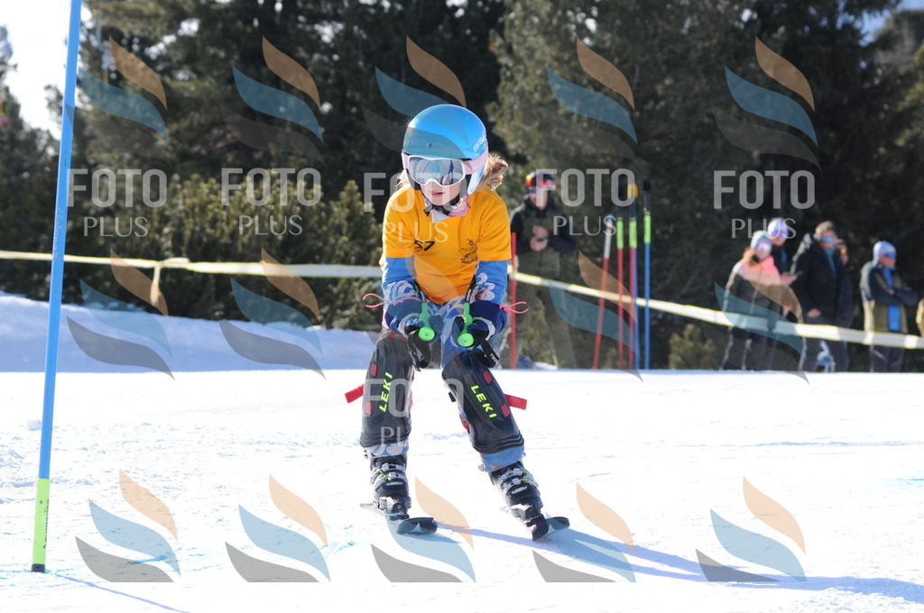 C6895 | holidayphoto