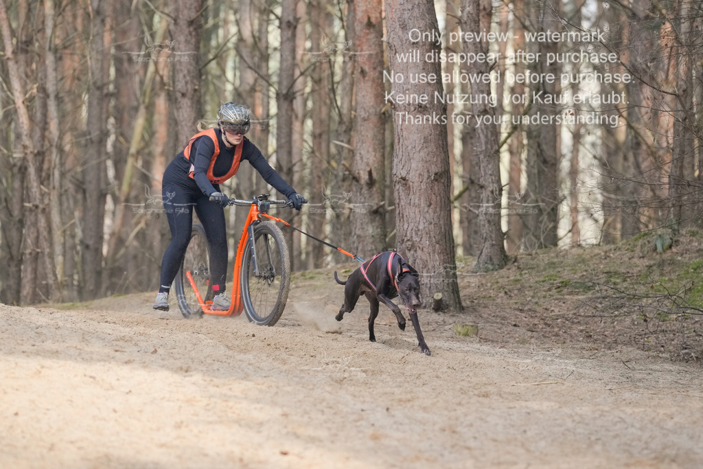 Scooter2-24 | stephaniefillaphotographie - Realisiert mit Pictrs.com