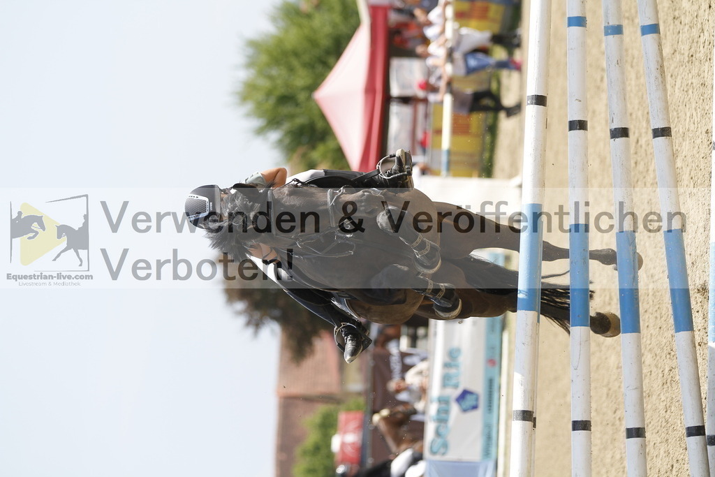 _MG_2608 | equestrian-live-com