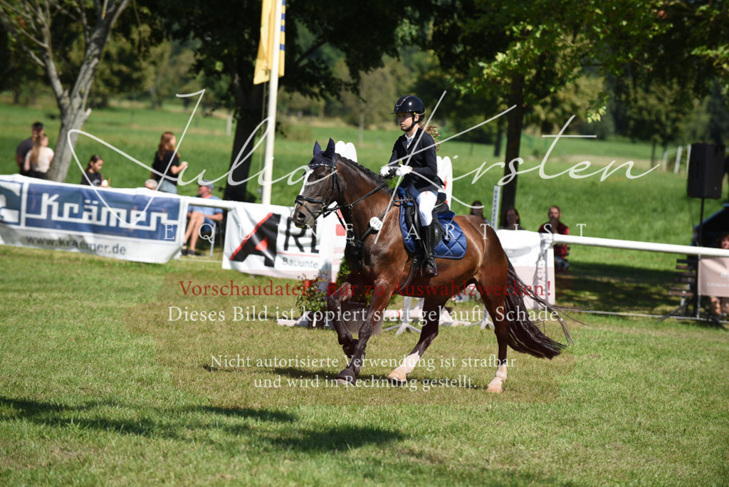 DSC_9586 | Pferde- und Turnierfotografie in Westsachsen. Pferdeportraits, Auftragszeichnungen und intuitive Kunst.