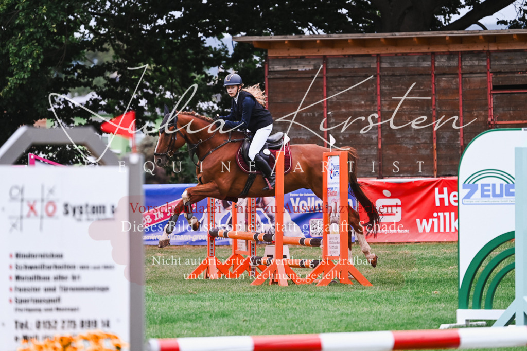 DSC_5909 | Pferde- und Turnierfotografie in Westsachsen. Pferdeportraits, Auftragszeichnungen und intuitive Kunst.