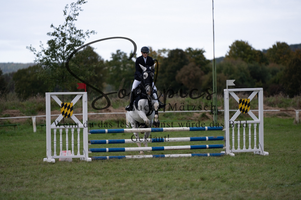 A7V06429 | Pferdefotograf