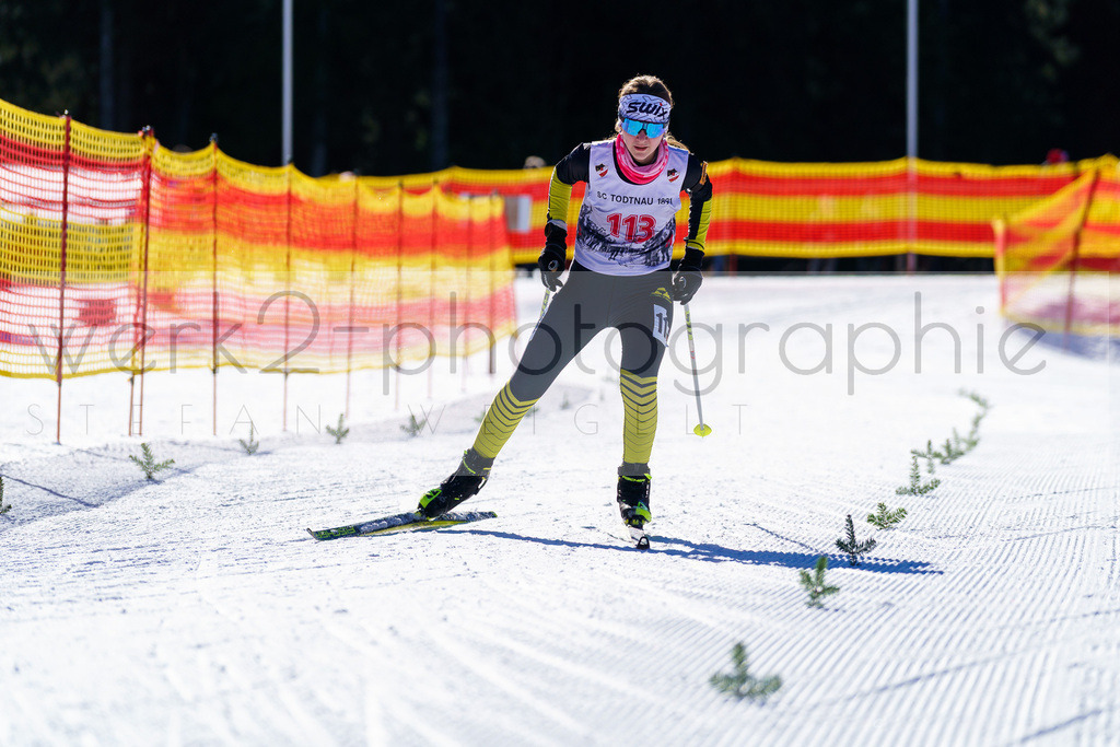 DSC Notschrei | 2. DSV E.INFRA Schülercup im Nordic-Center Notschrei am 17. bis 19. Januar 2025