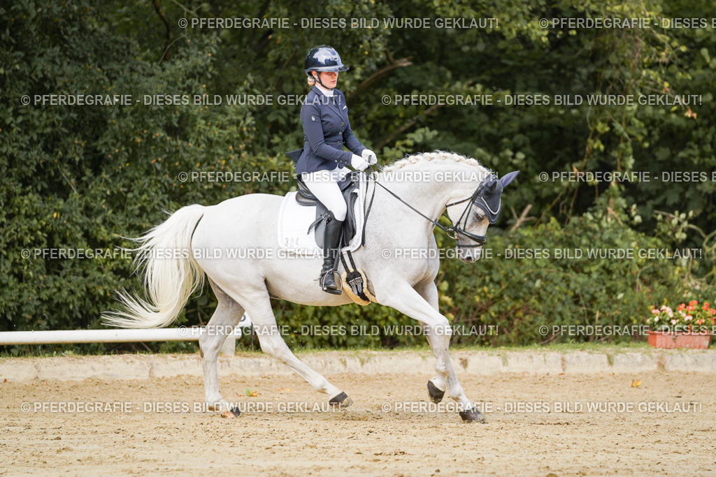 DSC02835 | Pferdegrafie