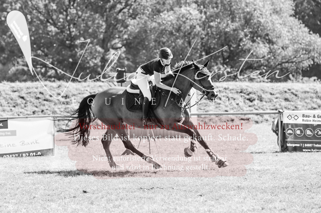 DSC_6446 | Pferde- und Turnierfotografie in Westsachsen. Pferdeportraits, Auftragszeichnungen und intuitive Kunst.