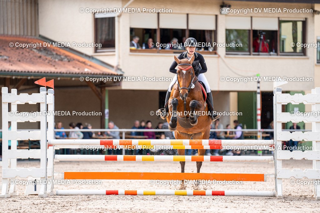 Eppelheim Tag 2-667 | dv-media-shop - Realisiert mit Pictrs.com