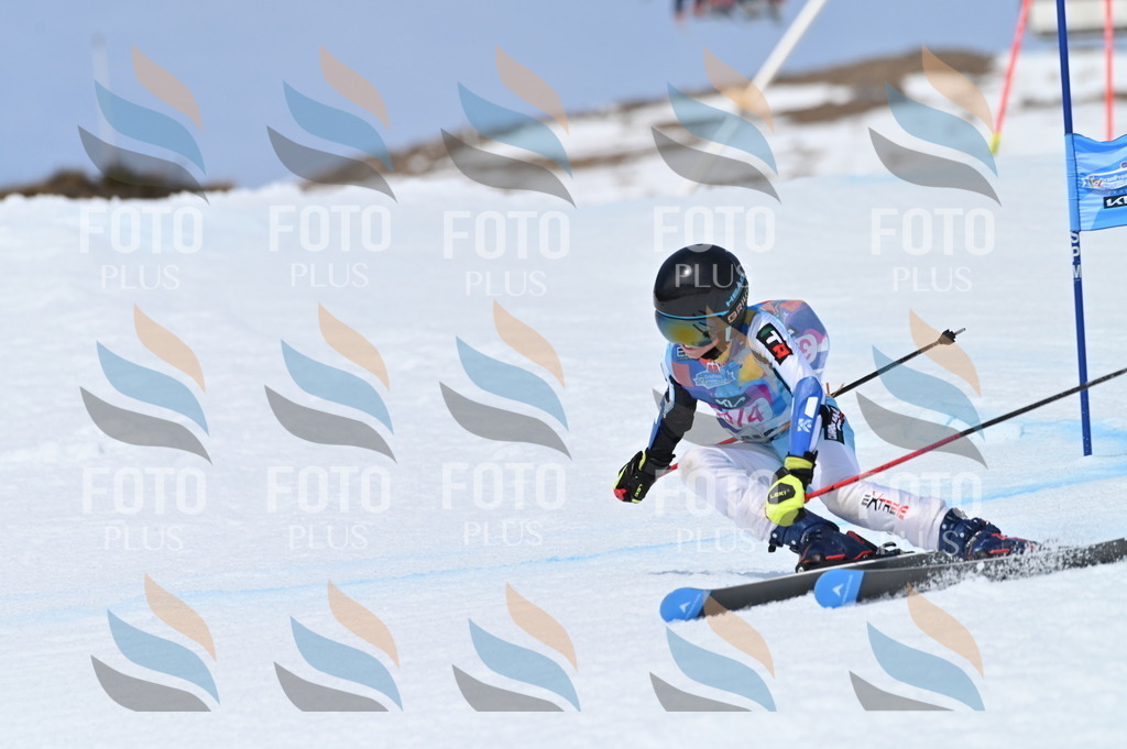 BGV_4081 | holidayphoto